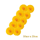 photo-2937047