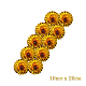 photo-2937139