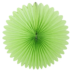 Фант 50 см светло-зелёный