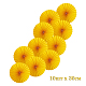 photo-2937071