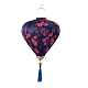 photo-2987557