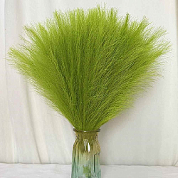 Пампасная трава 10 шт х 43 см, салатовый
